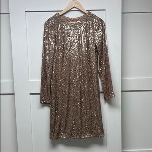 Sequin Long Sleeve Dress